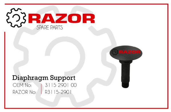 Diaphragm Support