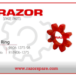 Interm Ring