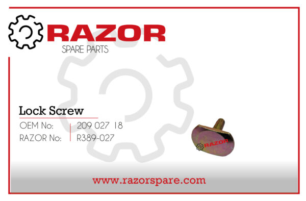 Lock Screw