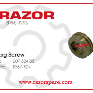 Locking Screw