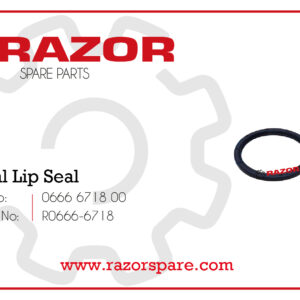 Radial Lip Seal