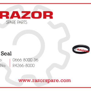 Axial Seal