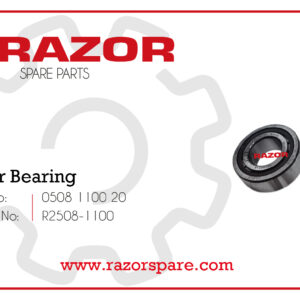 Roller Bearing