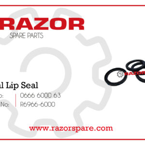 Radial Lip Seal