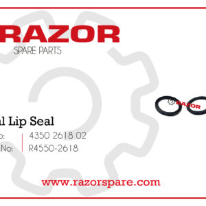 Radial Lip Seal