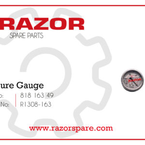 Pressure Gauge